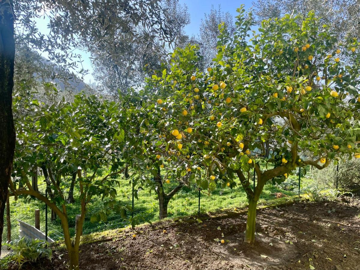Sorrento Realty Holidays - The Smile Of The Sun Bagian luar foto